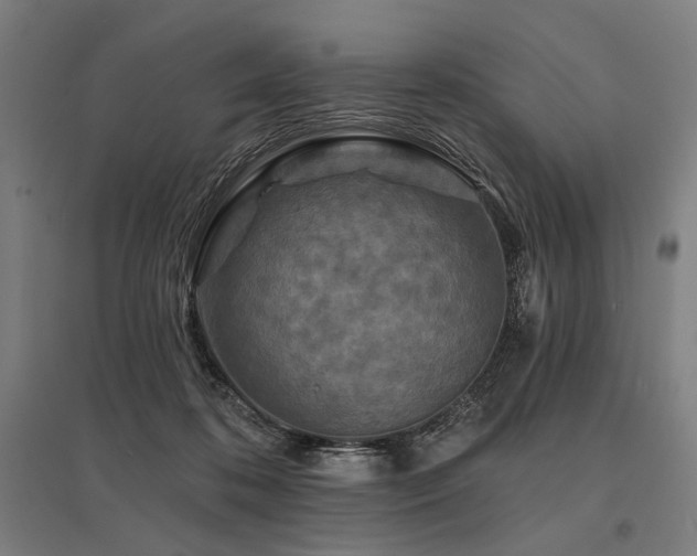 X0000096170316200801181256