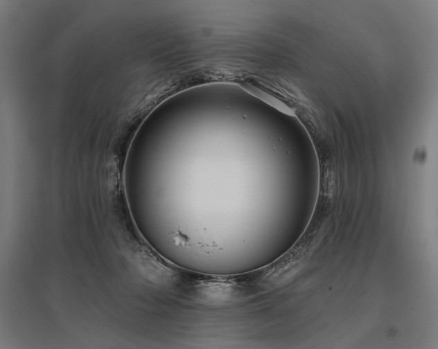 X0000096170318200801181256