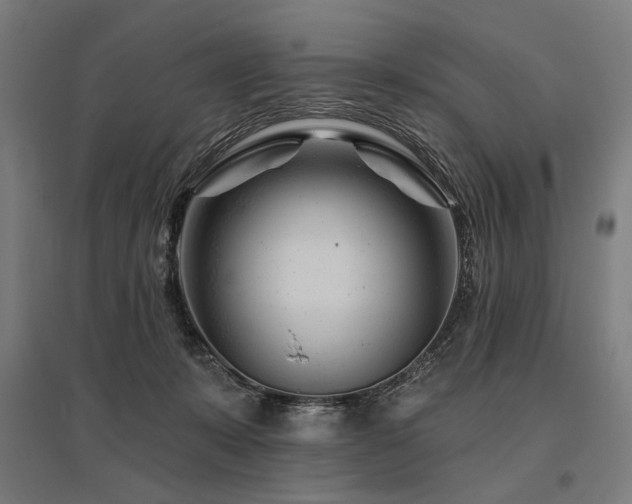 X0000096170319200801181256
