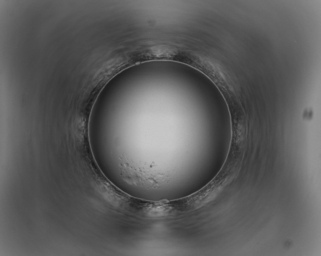 X0000096170321200801181256