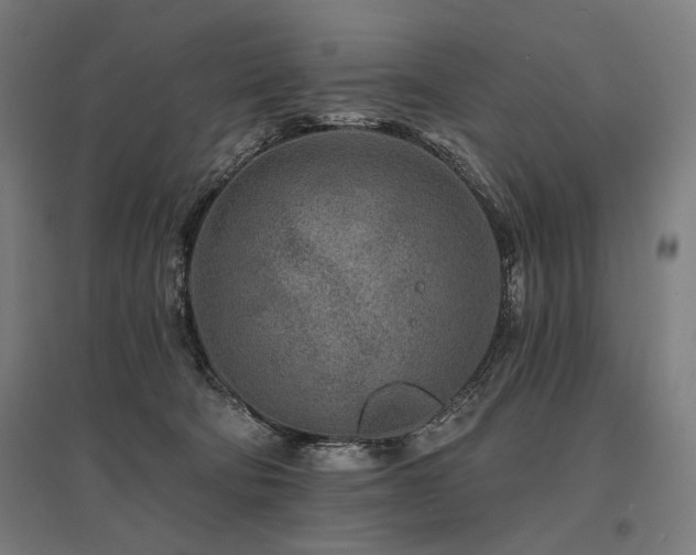 X0000096170322200801181256