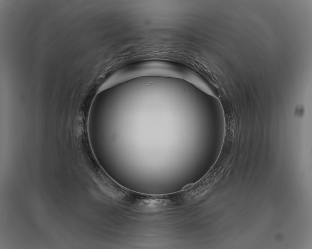 X0000096170323200801181256