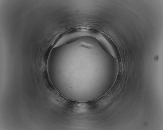 X0000096170324200801181256