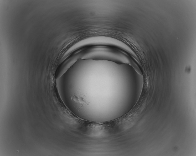 X0000096170325200801181256