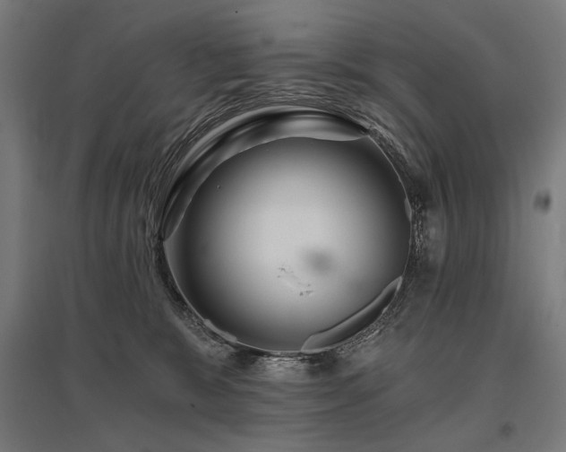 X0000096170327200801181255