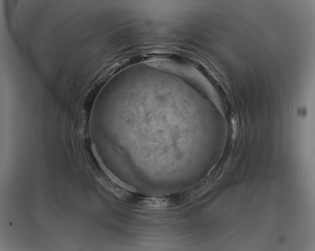 X0000096170328200801181255