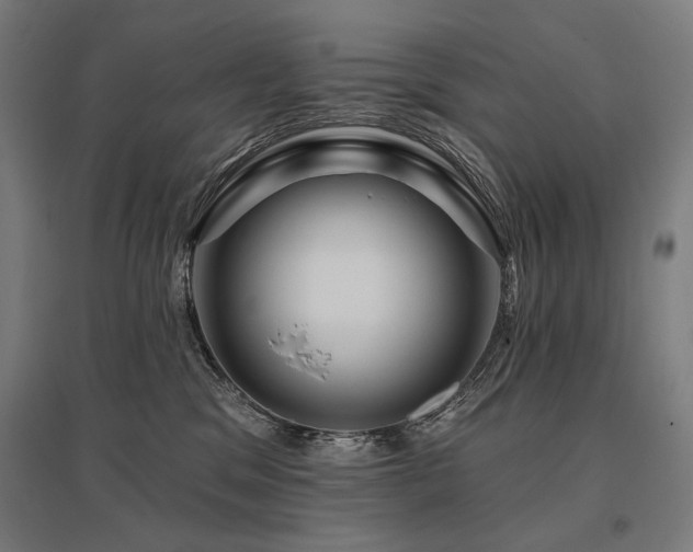 X0000096170329200801181255