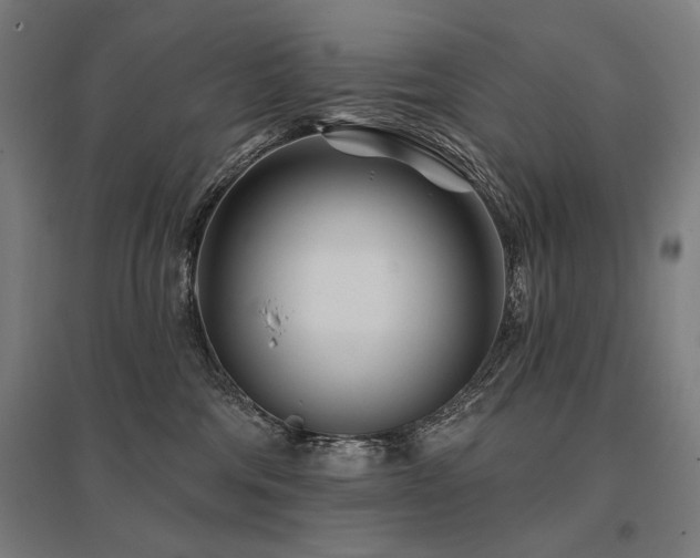 X0000096170330200801181255
