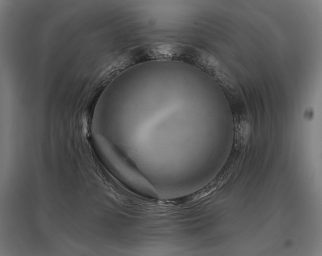 X0000096170331200801181255