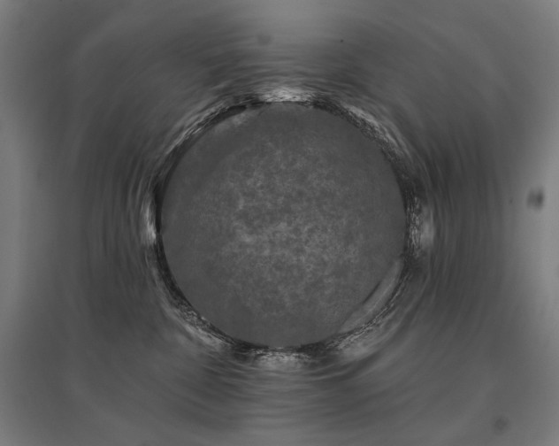 X0000096170332200801181255