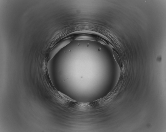 X0000096170333200801181255