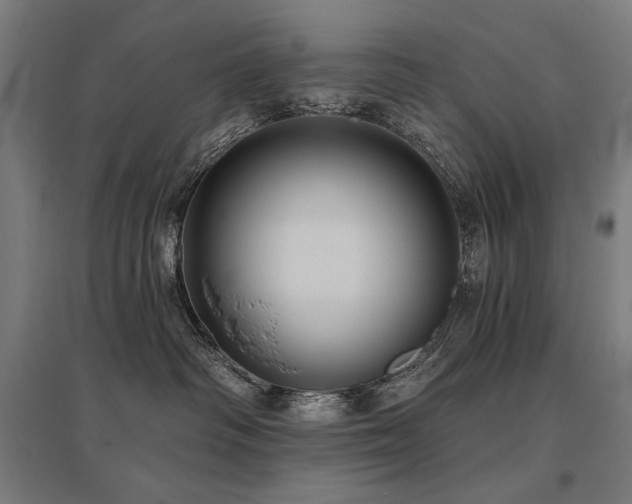 X0000096170334200801181255