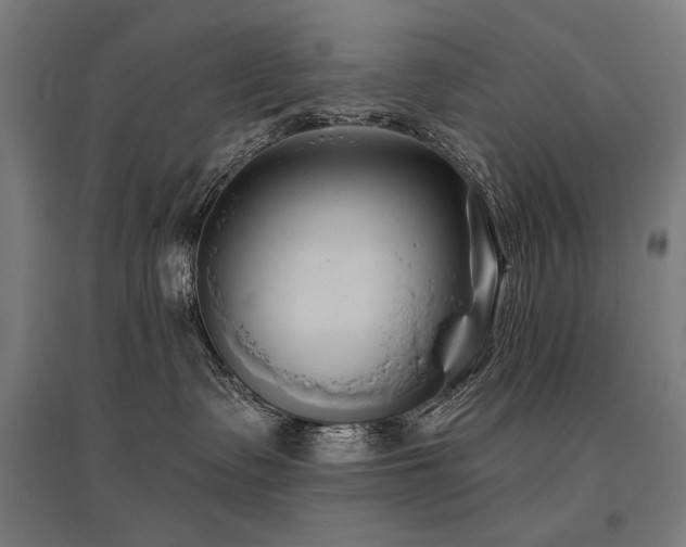 X0000096170335200801181255