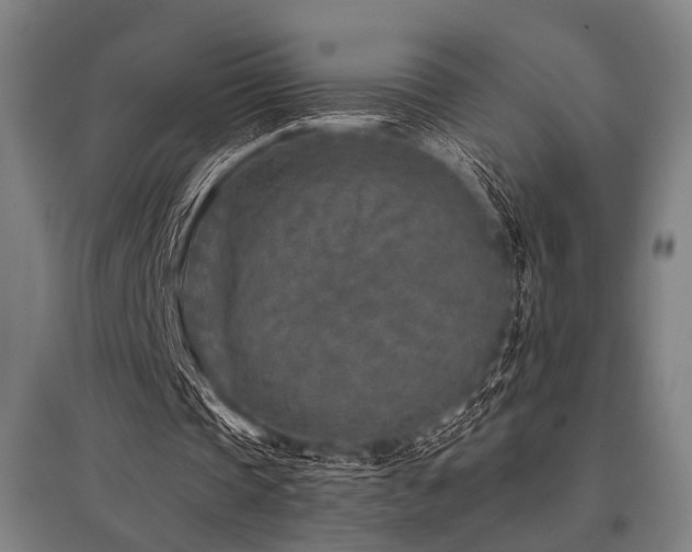 X0000096170337200801181255