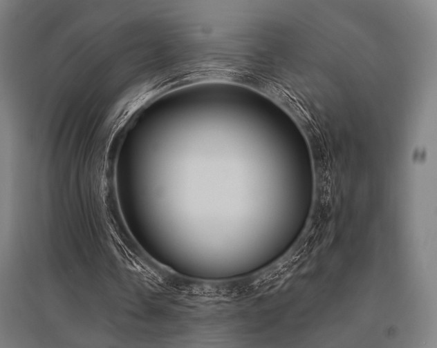X0000096170338200801181255