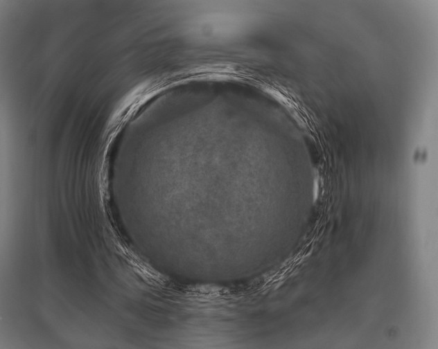 X0000096170339200801181255