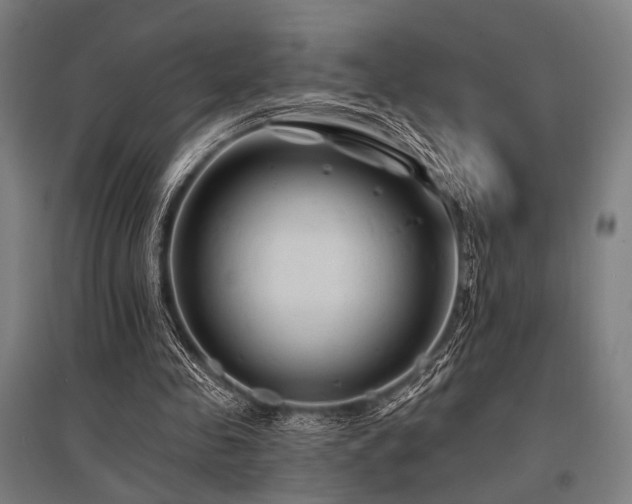 X0000096170341200801181255