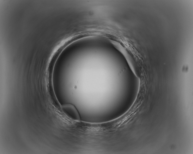 X0000096170342200801181255