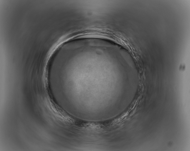 X0000096170343200801181255