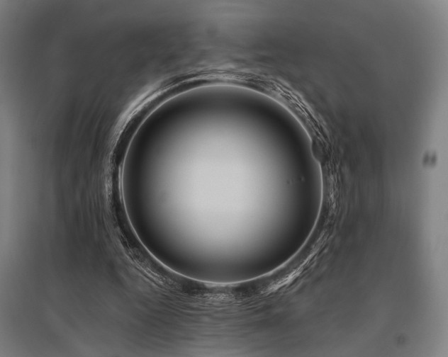 X0000096170344200801181255