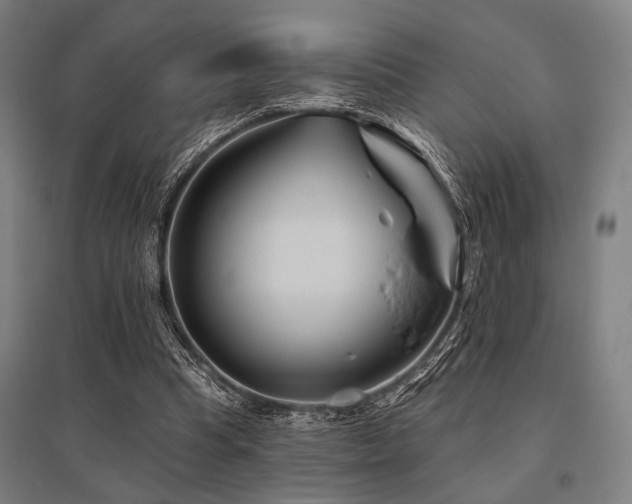X0000096170345200801181255