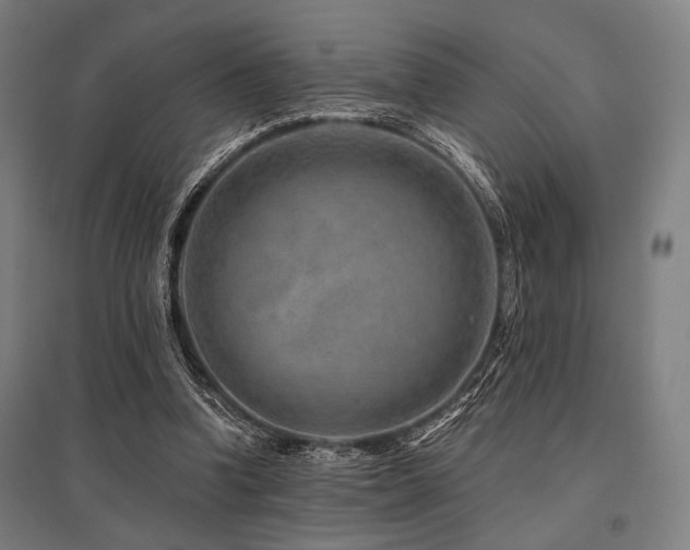 X0000096170346200801181255