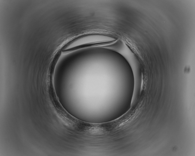 X0000096170348200801181255
