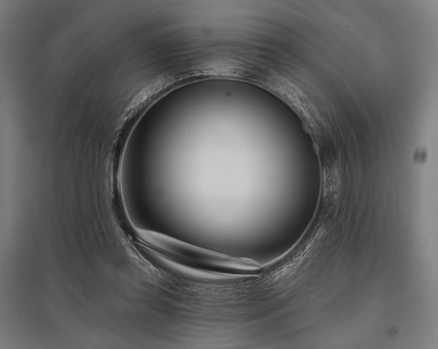 X0000096170349200801181255