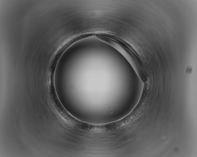 X0000096170350200801181255