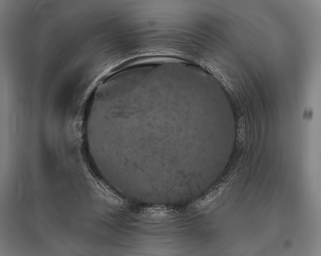X0000096170351200801181255