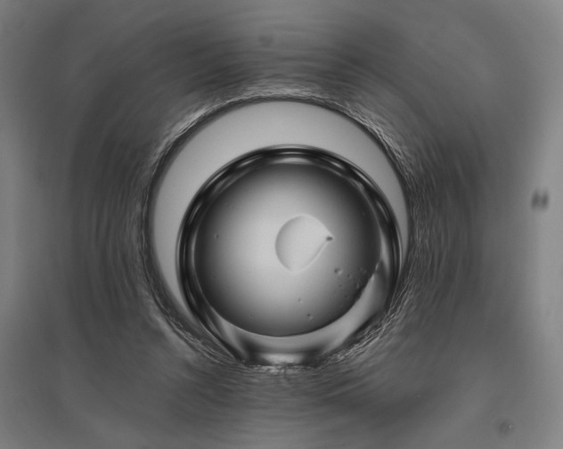 X0000096170352200801181255