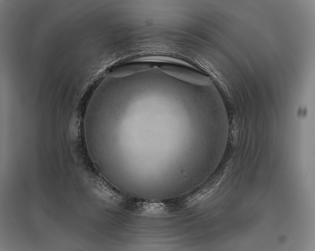 X0000096170355200801181255