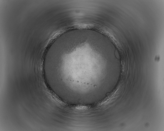 X0000096170357200801181255