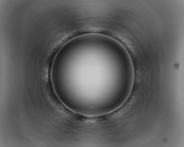 X0000096170358200801181255