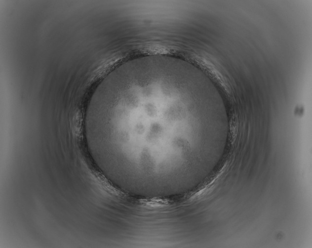 X0000096170359200801181255