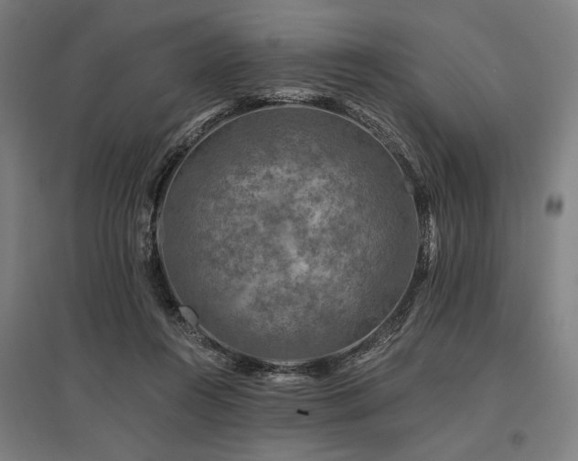 X0000096170360200801181255