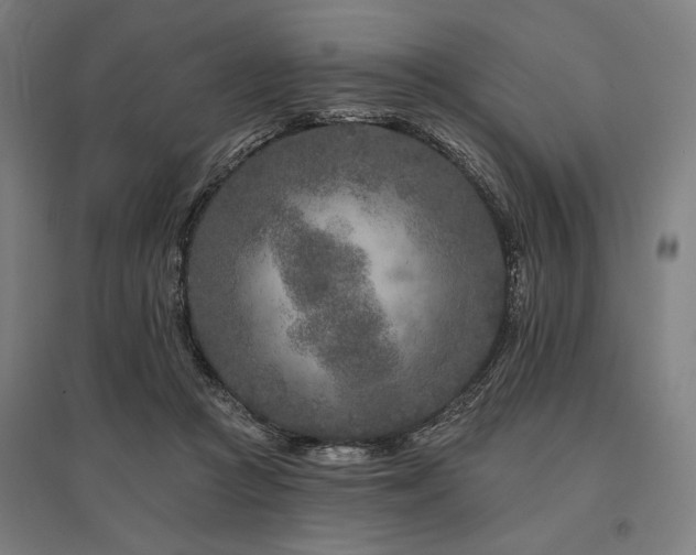 X0000096170361200801181255