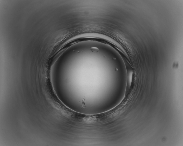 X0000096170362200801181255