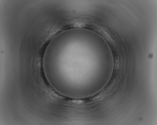 X0000096170363200801181255