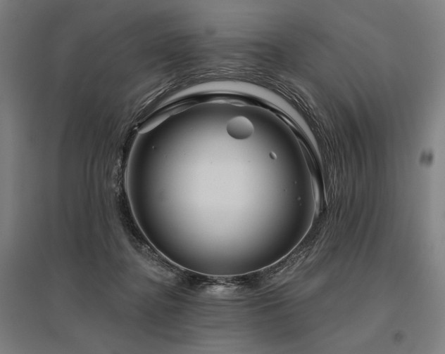 X0000096170364200801181255