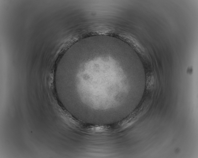 X0000096170365200801181255