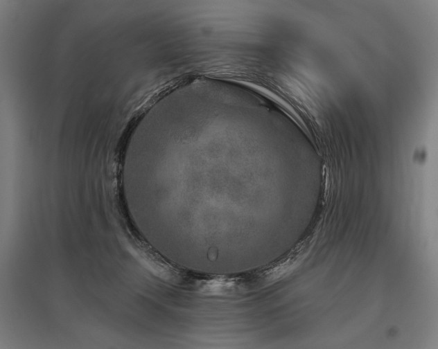 X0000096170366200801181255