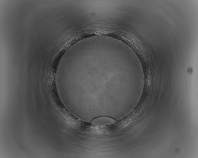 X0000096170367200801181255