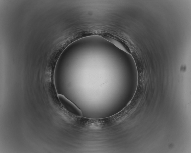 X0000096170368200801181255