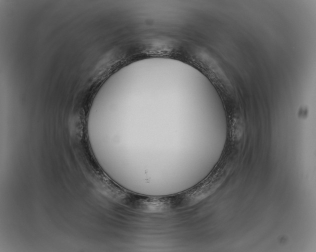 X0000096170370200801181255