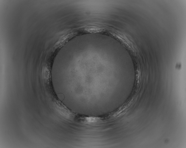 X0000096170371200801181255