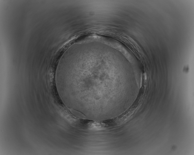 X0000096170372200801181255
