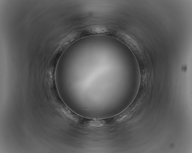 X0000096170373200801181255