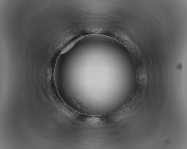 X0000096170374200801181255