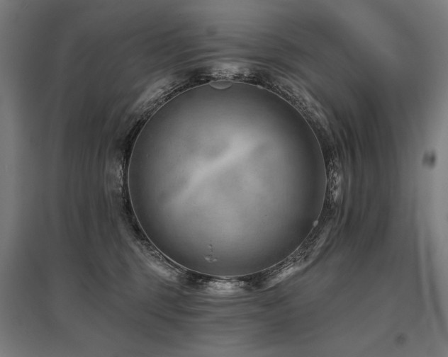 X0000096170375200801181255